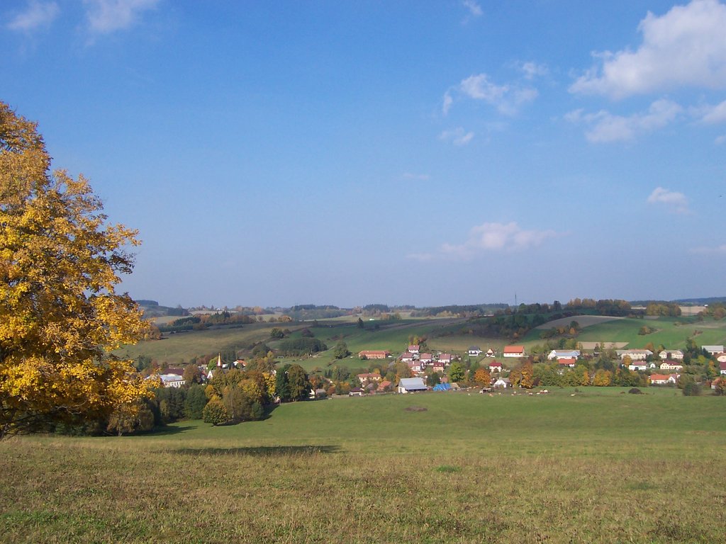 100_0646.jpg